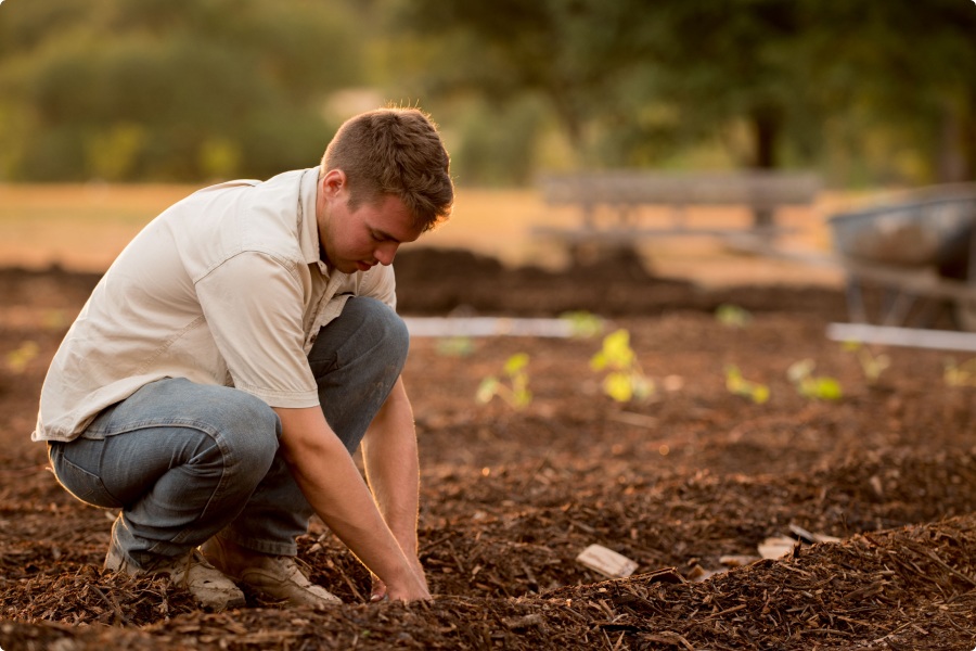 Homme plantant graines dans champ